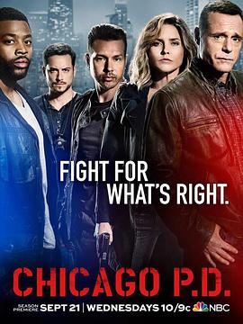 芝加哥警署 第四季的海报