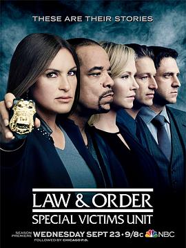 法律与秩序：特殊受害者 第十七季的海报