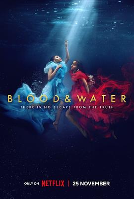 血与水 第三季的海报