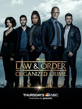 法律与秩序·组织犯罪第三季法律与秩序：组织犯罪 第三季的海报