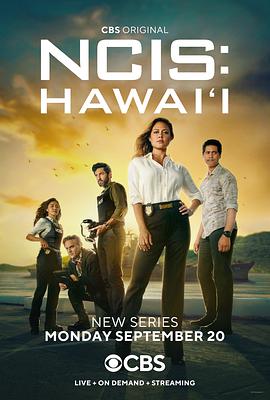 海军罪案调查处夏威夷第一季的海报
