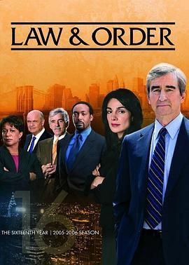 法律与秩序 第十六季的海报